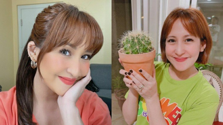 Jolina Magdangal warned followers of an online plant scammer she encountered recently!