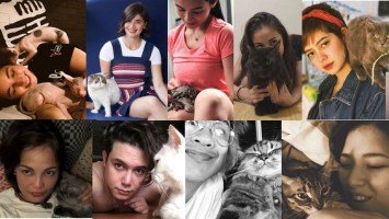 9 celebrities you didn’t know were cat lovers