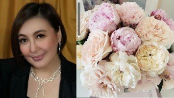 Sharon Cuneta refocuses energy on positivity by posting “things that make her smile.”